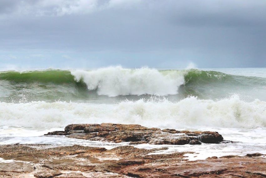 加拿大救生艇計劃：關鍵的生命保障策略